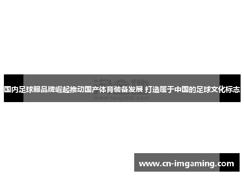 国内足球服品牌崛起推动国产体育装备发展 打造属于中国的足球文化标志 国内足球服品牌崛起推动国产体育装备发展 打造属于中国的足球文化标志