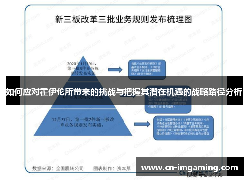 如何应对霍伊伦所带来的挑战与把握其潜在机遇的战略路径分析 如何应对霍伊伦所带来的挑战与把握其潜在机遇的战略路径分析
