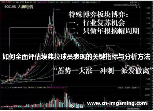 如何全面评估埃弗拉球员表现的关键指标与分析方法