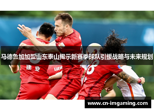 马德鲁加加盟山东泰山揭示新赛季球队引援战略与未来规划