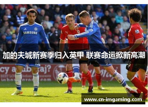 加的夫城新赛季归入英甲 联赛命运掀新高潮