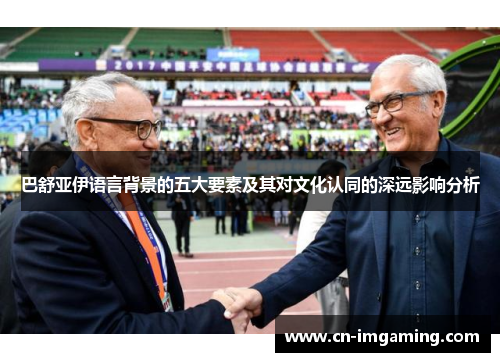 巴舒亚伊语言背景的五大要素及其对文化认同的深远影响分析