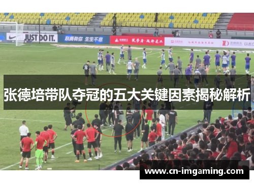 张德培带队夺冠的五大关键因素揭秘解析