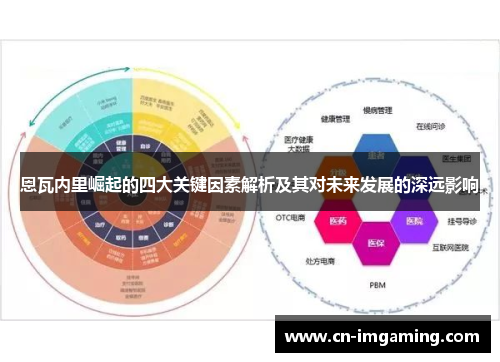 恩瓦内里崛起的四大关键因素解析及其对未来发展的深远影响
